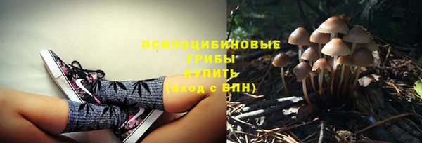 jwh Арсеньев