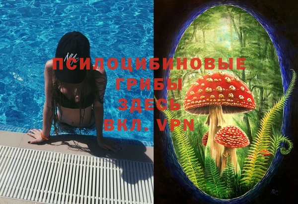 прущие крисы Армянск